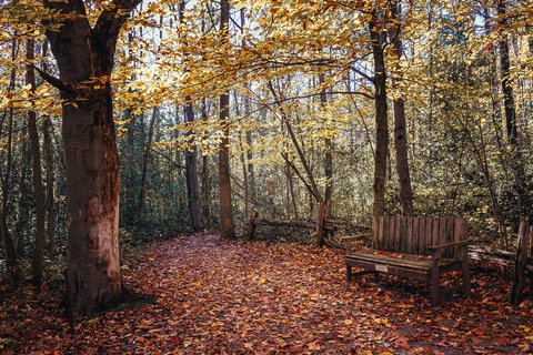 1Y 1Q into Return to Work